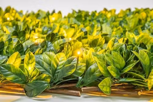 Primrose Green Artificial Laurel Leaf Extendable Trellis Hedge Screening W: 200 cm, H: 100 cm – 2