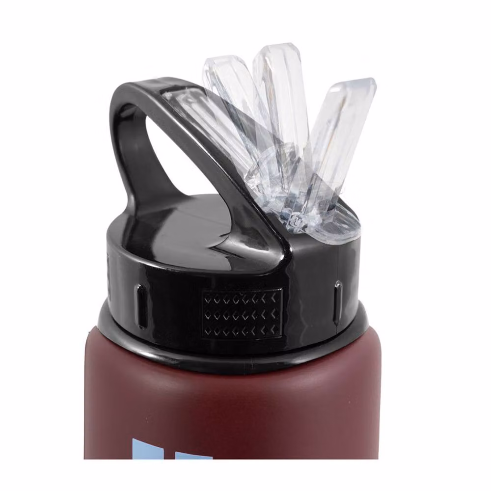 Aston Villa FC Maroon Aluminium Water Bottle with Straw and Carry Handle, 750 ml – 2