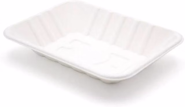 ECONX Disposable White Bagasse Food Trays, 100 Pieces