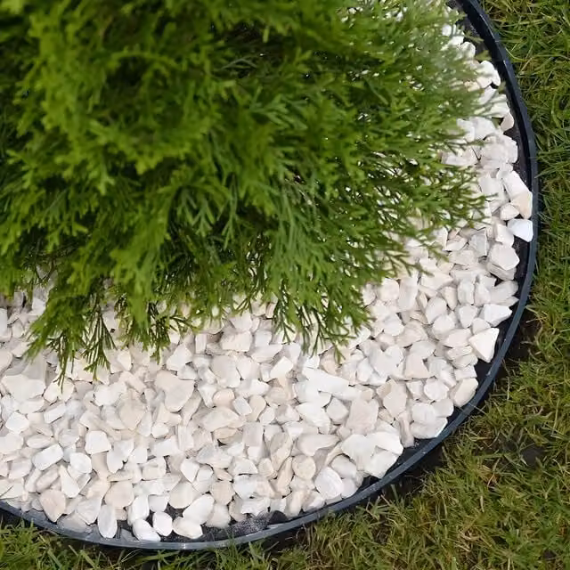 Primrose Flexible Tall Garden Lawn Edging with Pins, Black