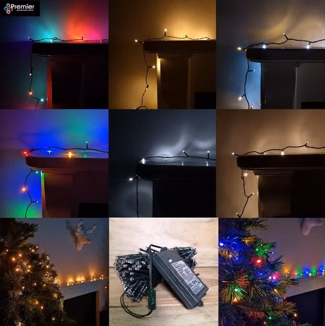 Premier Battery Operated Multi Function Outdoor LED Timer Christmas Tree Lights in Multicolour and Green