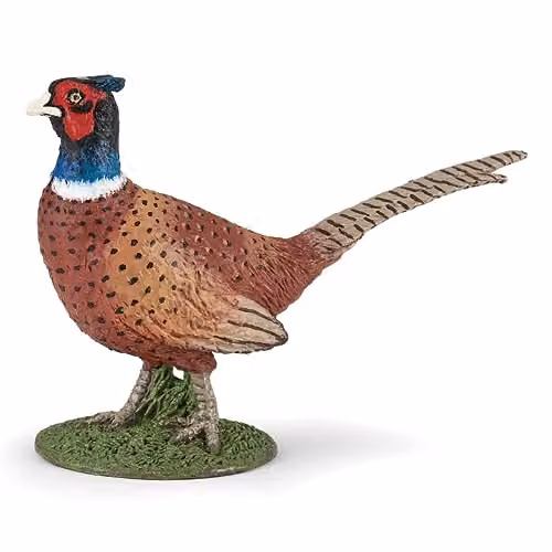 Papo Wild Life Collection Realistic Pheasant Figure in Brown and Multicolour