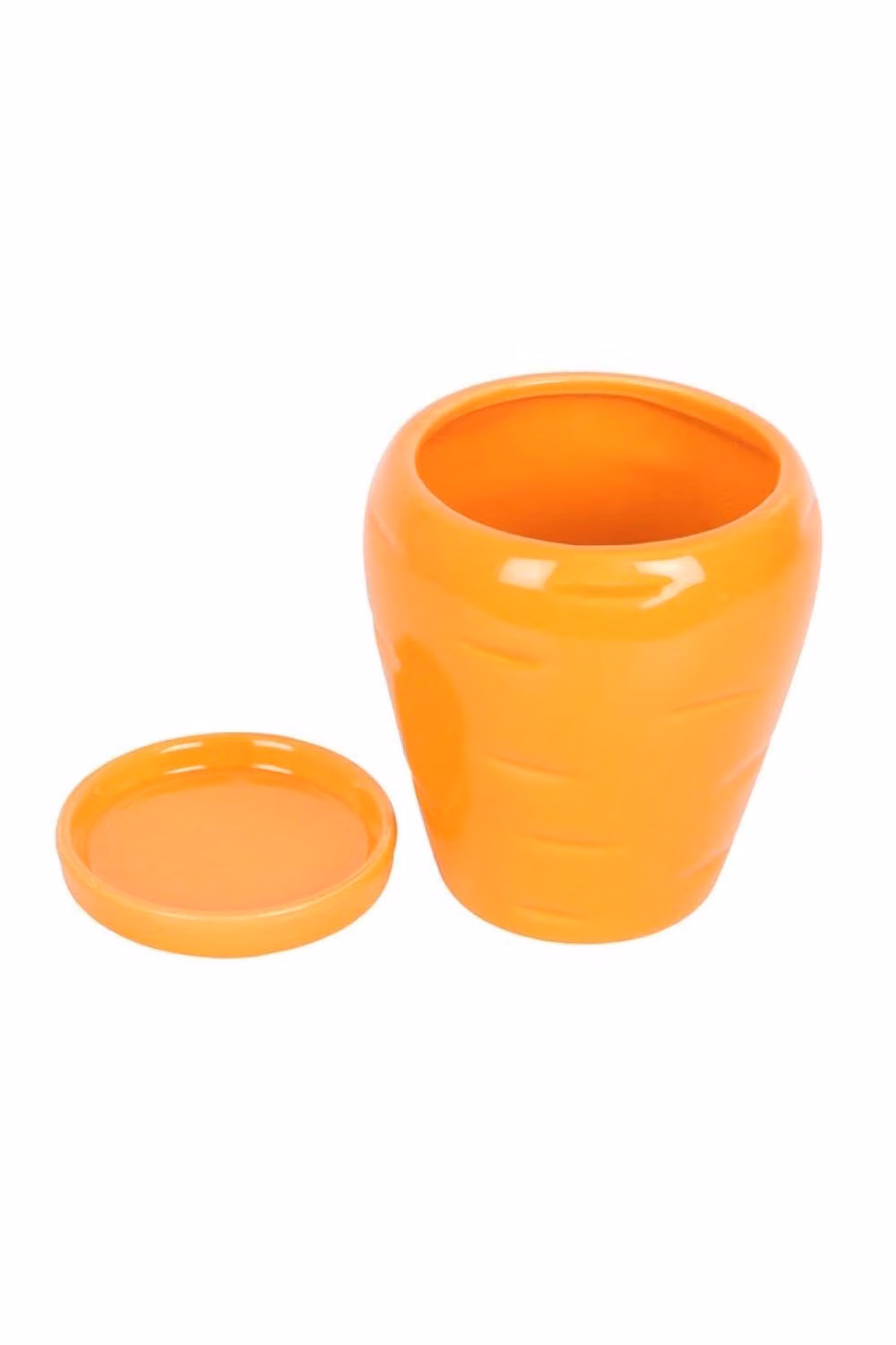KDMD Orange Carrot-Shaped Plant Pot with Parsley Seed Balls for Growing Fresh Herbs – 2