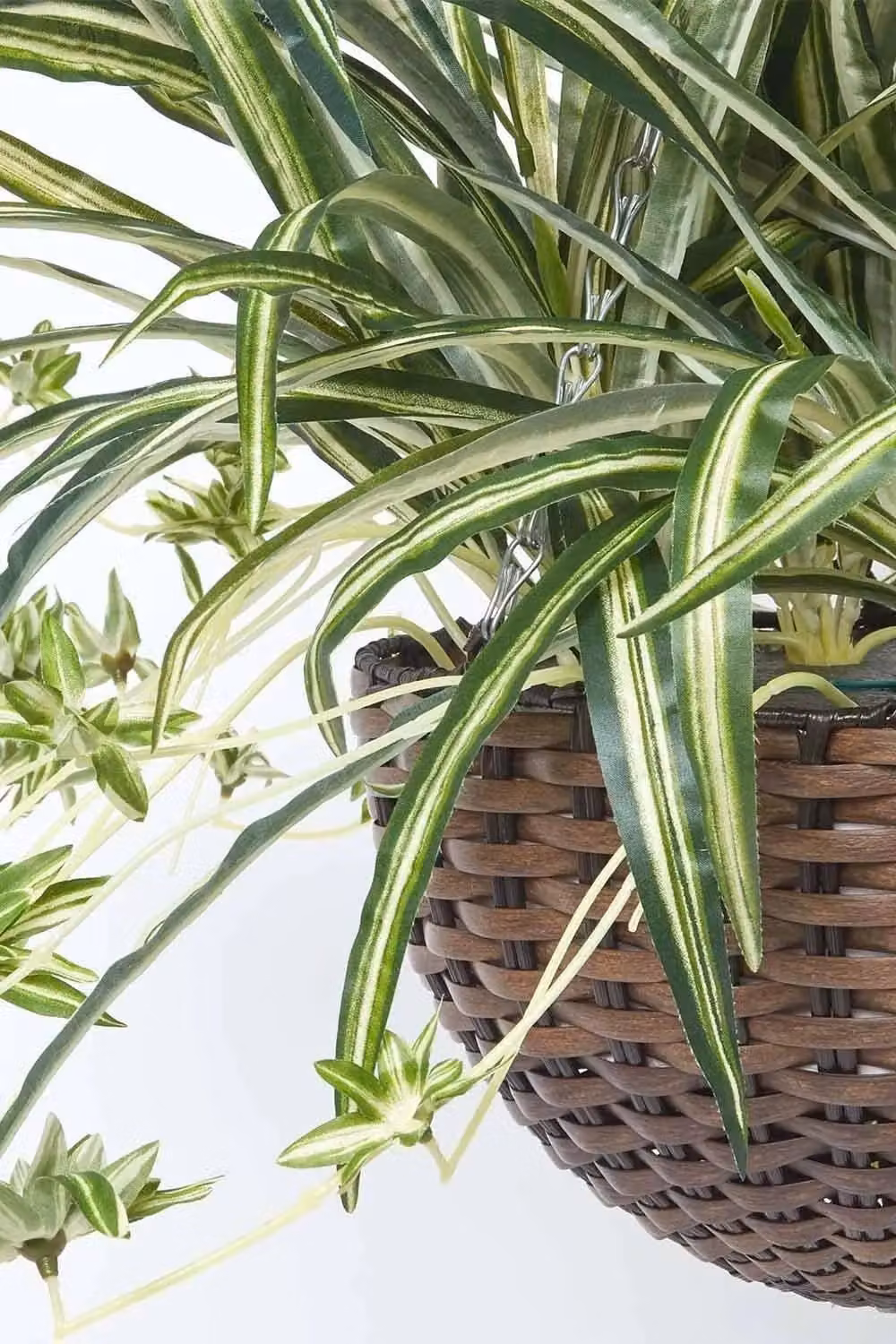 Homescapes Artificial Hanging Spider Plant in a Green Rattan Basket, 60 cm – 2