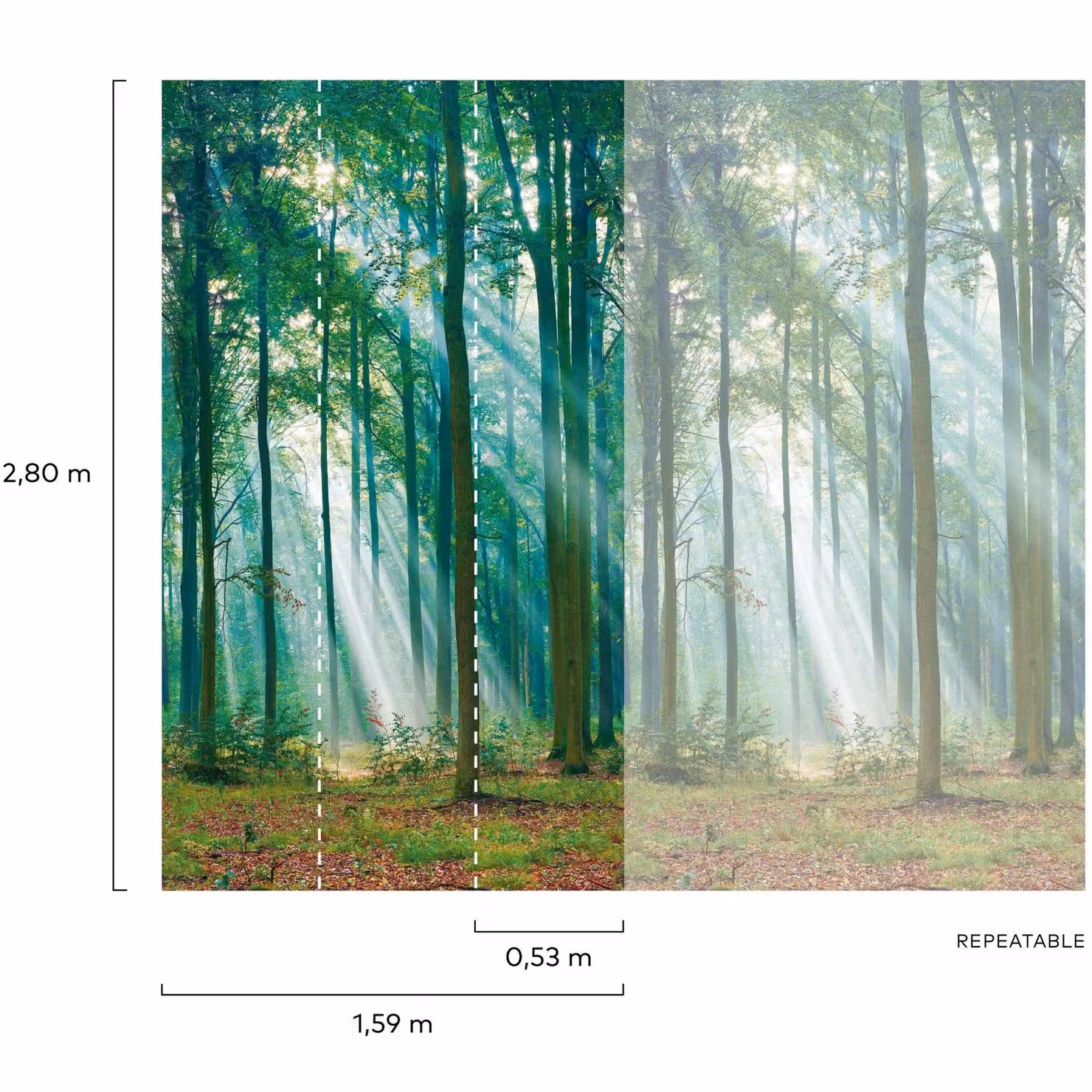 Grandeco Biophilic Photographic Sunlight Through Trees Mural, Green, W: 280 cm, H: 159 cm – 2