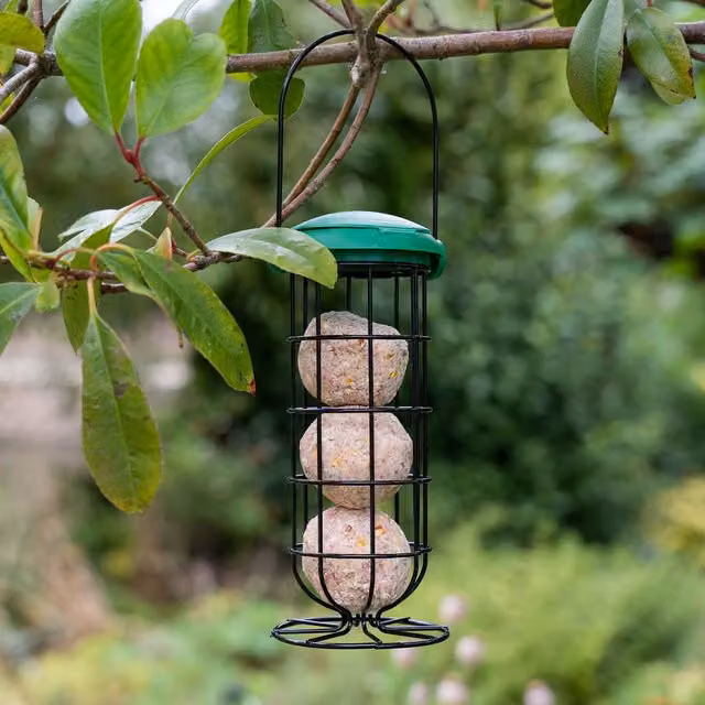 Gardman Flip Top Feeder Fat Snax in Brown