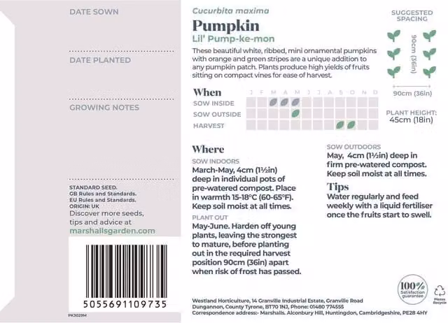 Marshalls Garden Lil' Pump-ke-mon' White Ribbed Mini Pumpkin Seeds