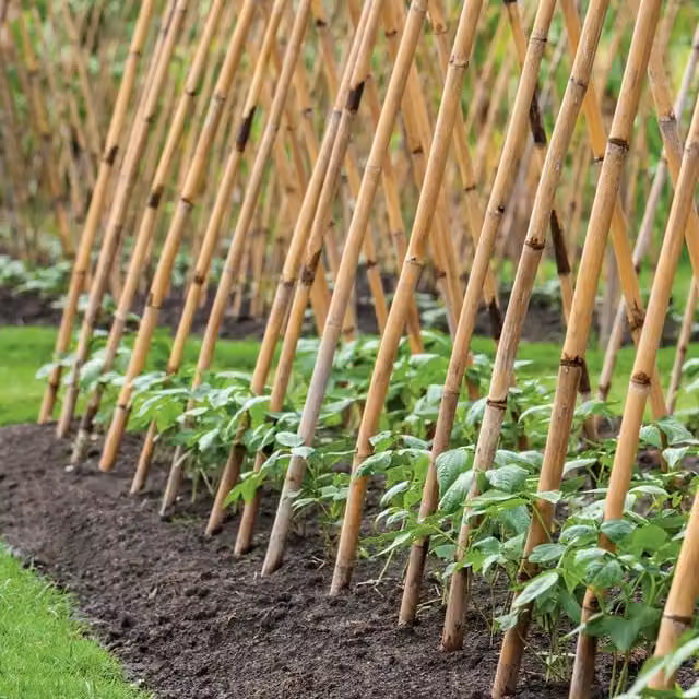 Grow It Brown Bamboo Plant Support Stakes, 20 Pack, Height: 120 cm