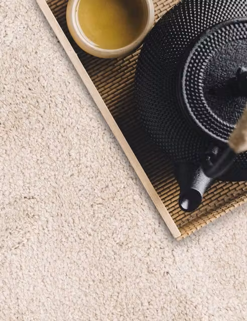 Asiatic Richie Soft Touch Shaggy Rug in Beige
