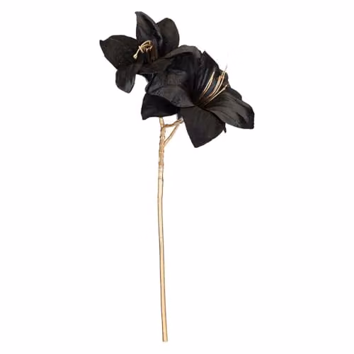 VFM e-Store Black Amaryllis Christmas Spray Decoration, H 56 cm x W 22 cm – 1