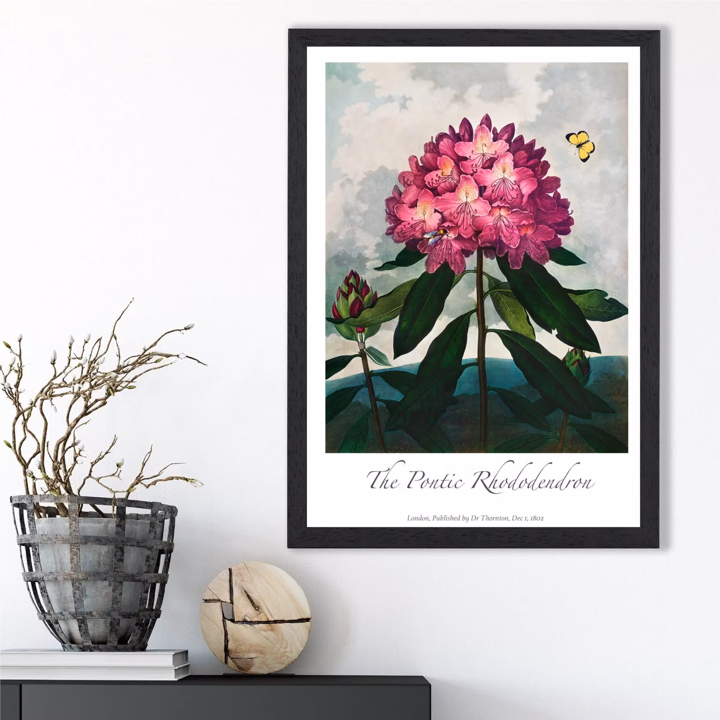 ARTZE Rhododendron Flower Framed Print, Vintage Floral Botanical Illustration in Pink and Green, A4, Black Frame – 2