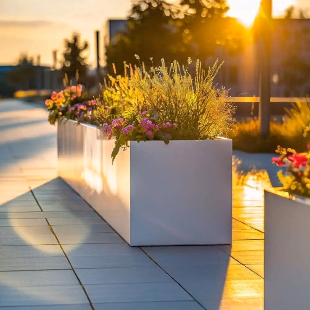 Tulipy Galvanised Steel Trough Planter, Matte White, W: 24 cm, D: 24 cm, H: 24 cm – 6