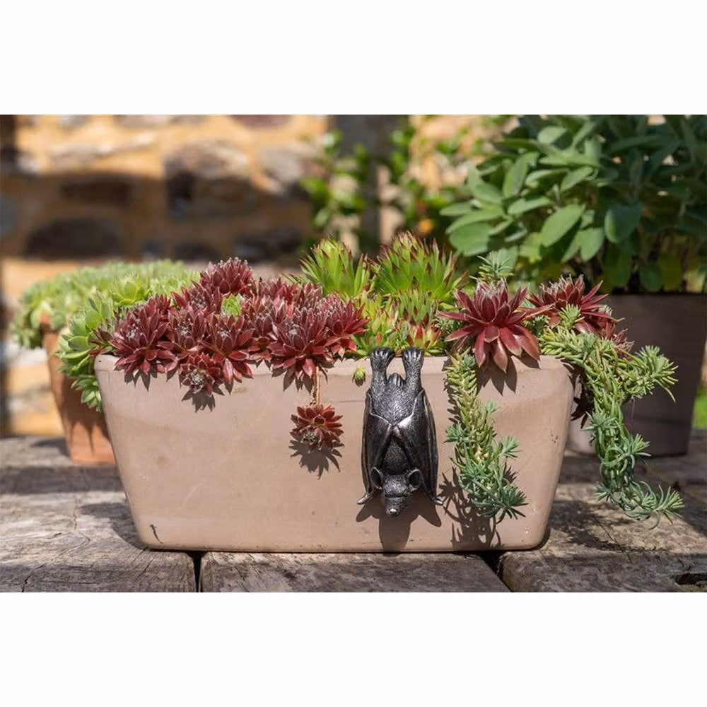 Jardinopia Bronze Hanging Bat Plant Pot Hanger, W: 5.5 cm, D: 11 cm, H: 4.5 cm – 2
