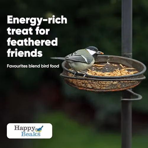 Happy Beaks Dried Mealworms for Wild Birds, High Protein Bird Feed, 5kg – 4