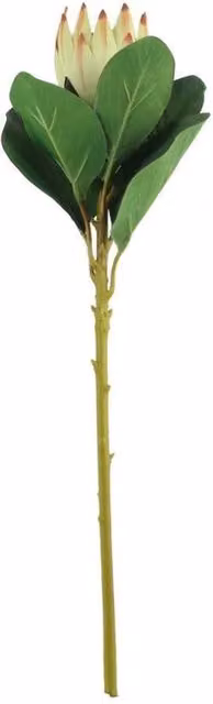 KDMD Protea Green Artificial Flower Sprays, Height: 51 cm