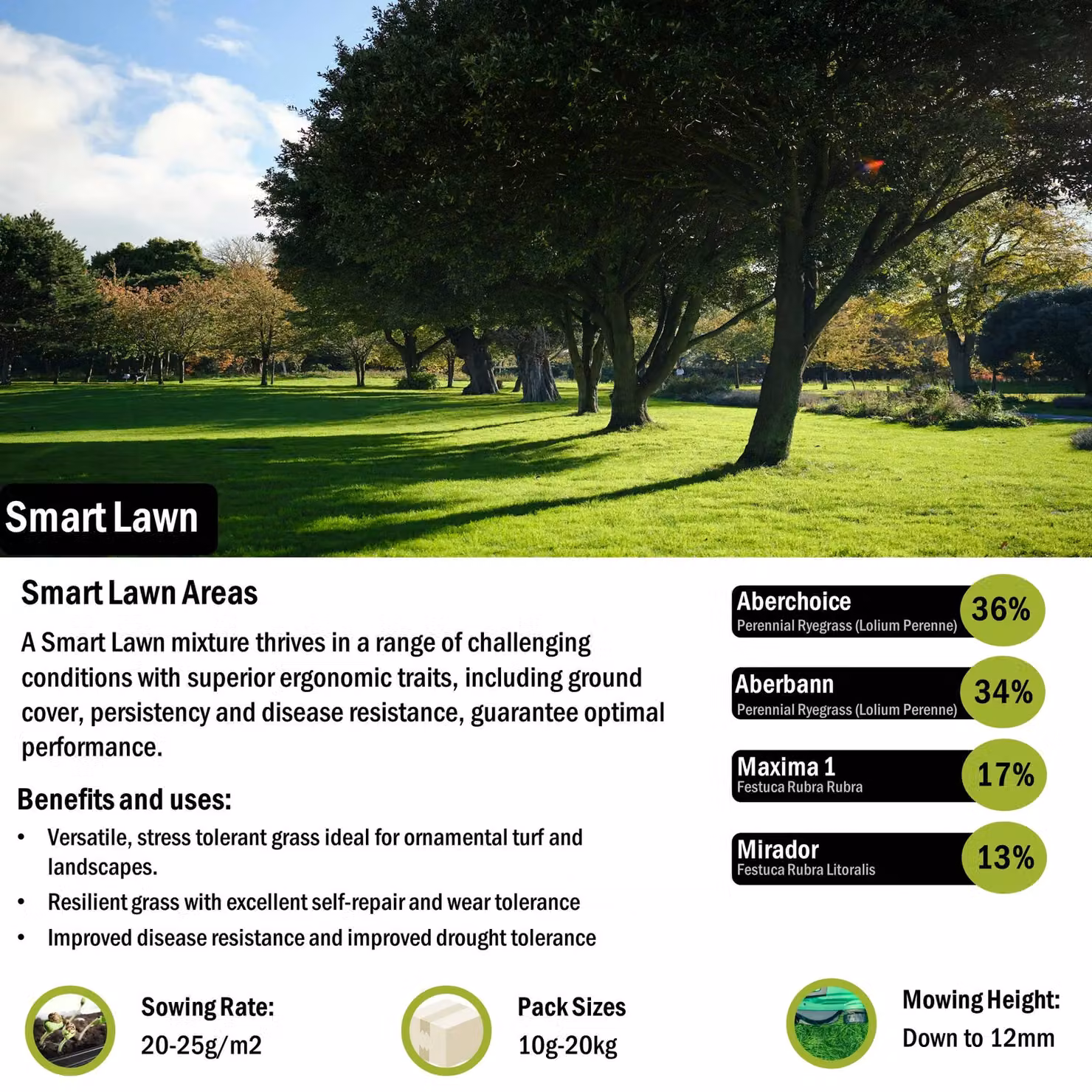 Pegdev Smart Lawn Grass Seed for Gardens and Parks, 50g – 2