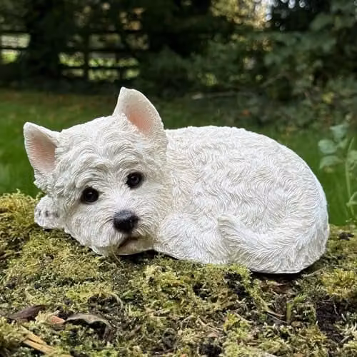 Animal Crackers White and Multicolour Laying West Highland Terrier Resin Figurine, W/D/H: 20.0 x 13.0 x 20.0 cm