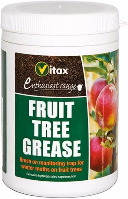 Vitax Fruit Tree Grease, Traditional Brush-On Insect Trap for Vegetable Gardens, 200 g, Green