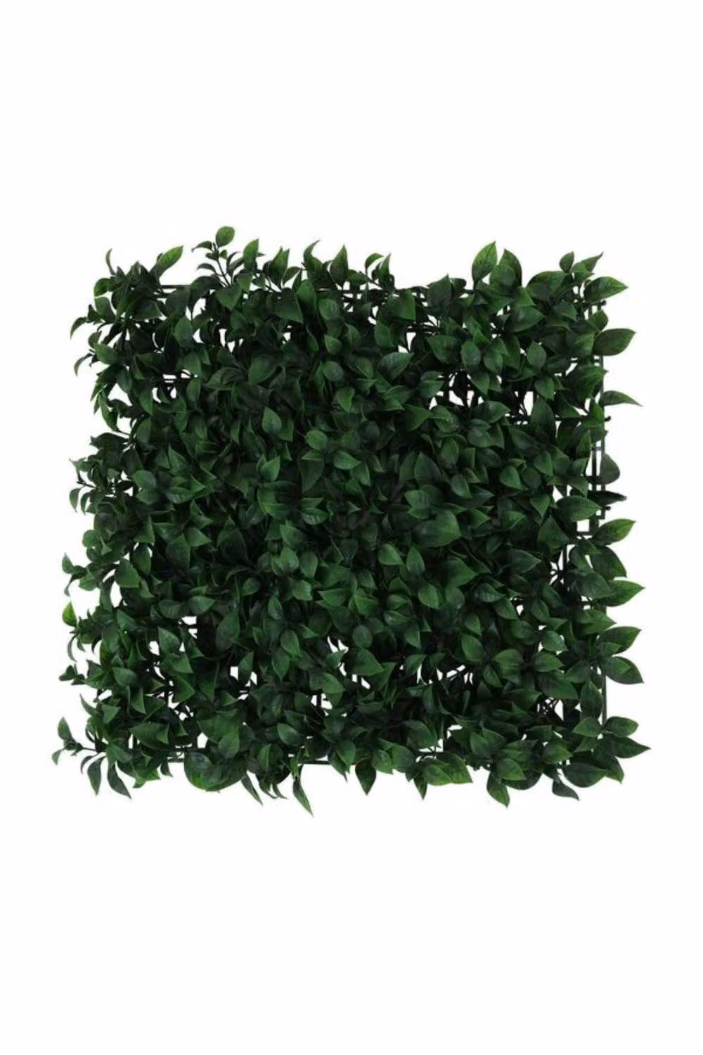 KDMD Artificial Hedge Exterior Bay Wall, Green, W/D/H: 50 x 50 x 50 cm – 2