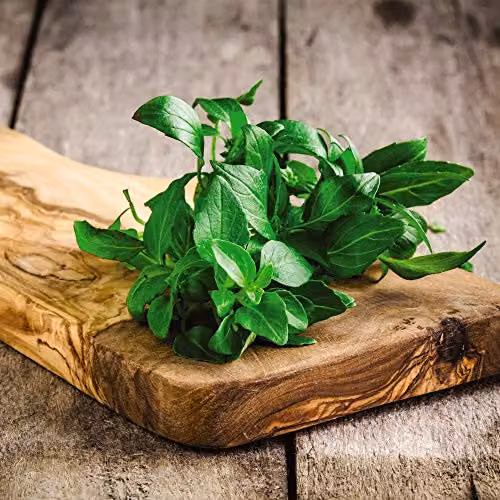 Thompson and Morgan Organic Basil Classico Herb Seeds, 250 Seeds