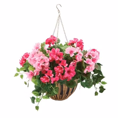 Coopers of Stortford Pink Geranium Hanging Basket with Bronze Effect Pot – 1