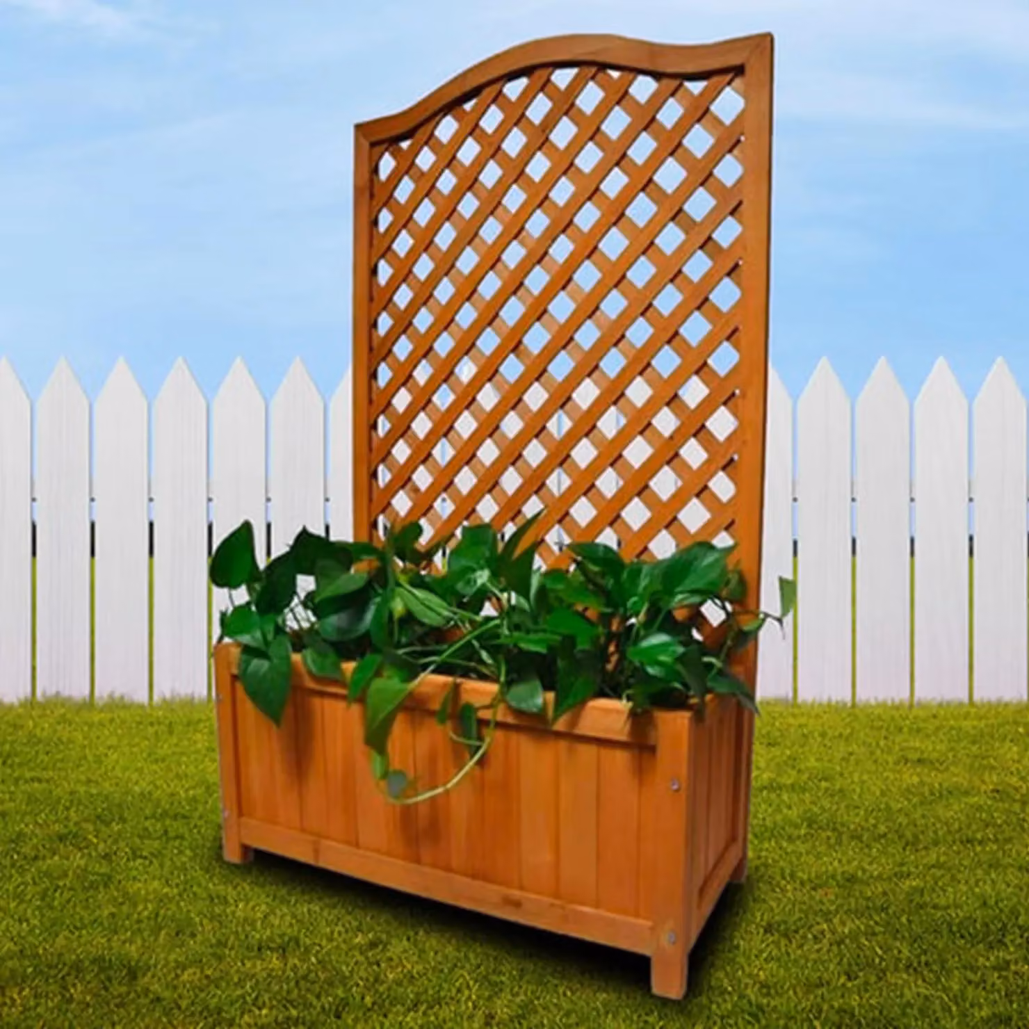Gr8 Garden Wooden Planter with Lattice Trellis in Brown, W: 100.0 cm, D: 60.0 cm, H: 23.0 cm – 2