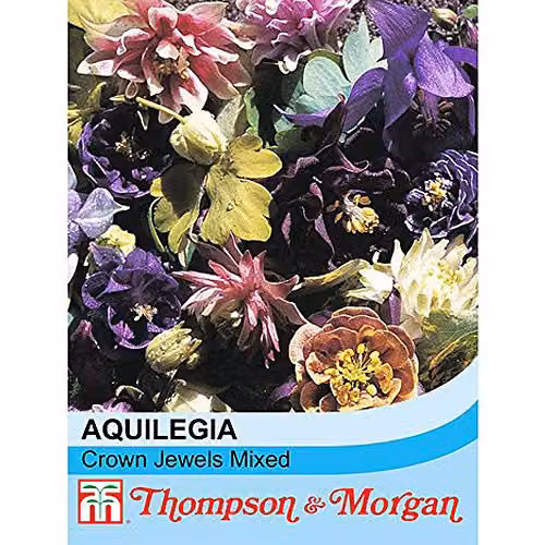 Thompson and Morgan Aquilegia x Hybrida Crown Jewels Mixed Columbine Hardy Perennial Flower Seeds, 20 Seeds – 2