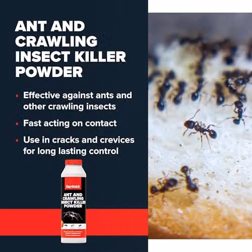 Rentokil Ant and Crawling Insect Killer Powder, 300g – 4