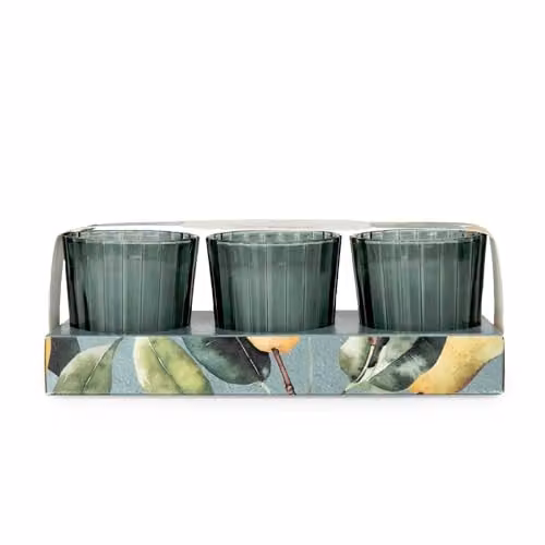 Candlelight Set of 3 Pear Tree & Bay Leaf Scented Votive Candles in Green Glass