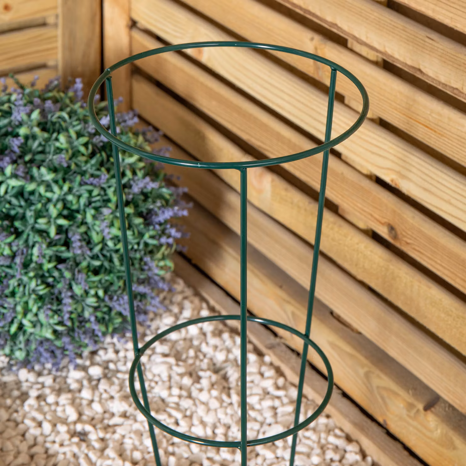 Samuel Alexander Tom Chambers Urban Green Conical Garden Plant Support Ring, Dark Green, Diameter: 20 cm – 3