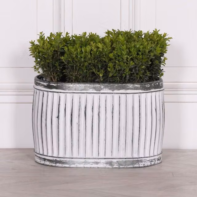 Glasstone Dolly Tub Oval Metal Planter, Small, White, W/D/H: 38.5 x 24.0 x 26.0 cm