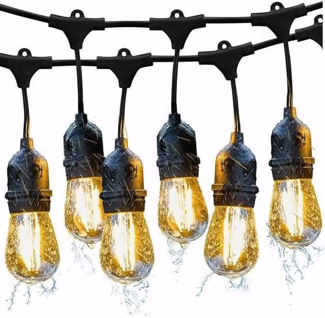 SPETLEK Black Outdoor Festoon String Lights with 20 Warm White Vintage Glass Sphere Bulbs