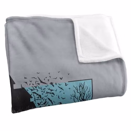 Warner Bros. Batman and Robin Kanji Dynamic Duo Super Soft Fleece Throw Blanket, Multicolour, W: 91 cm, D: 147 cm – 2