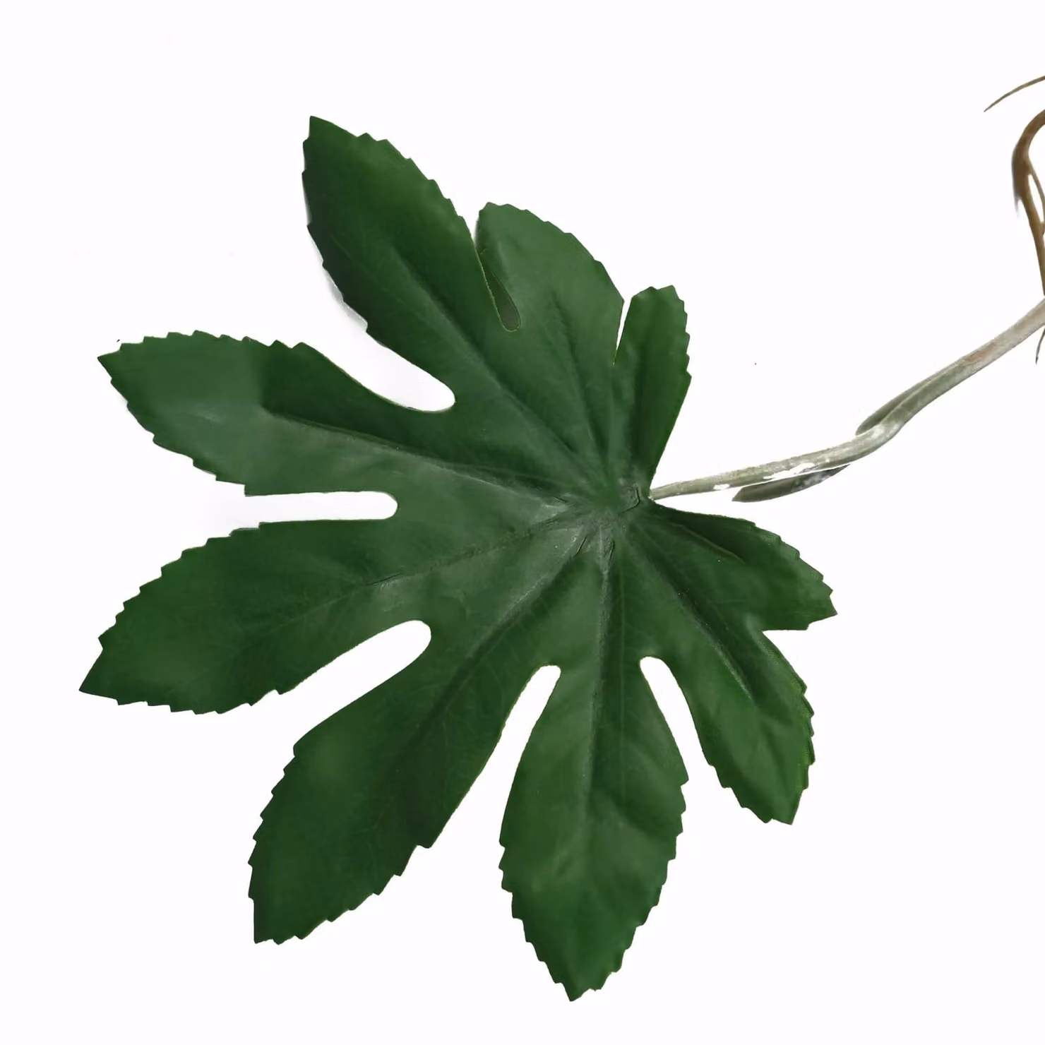 Leaf Design Artificial Hanging Aralia Plant in Green and Multicolour, 110 cm – 4
