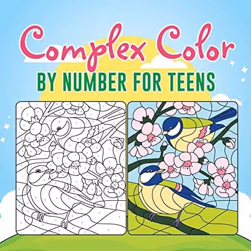 Educando Kids Complex Colour by Number Paper Activity Set for Teenagers, Multicolour