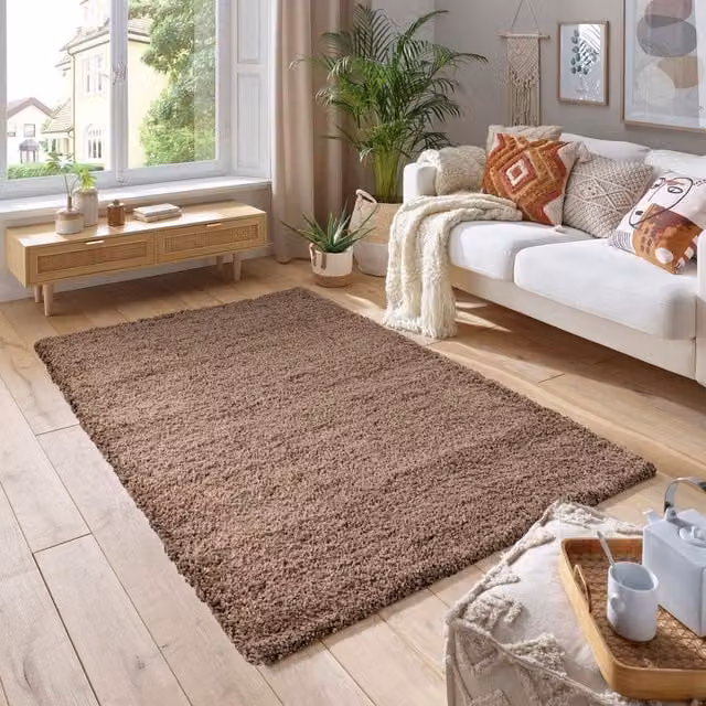 Smart Living Shaggy Area Rug in Beige, 5cm Thick Pile, W/D/H: 60 x 220 x 5 cm