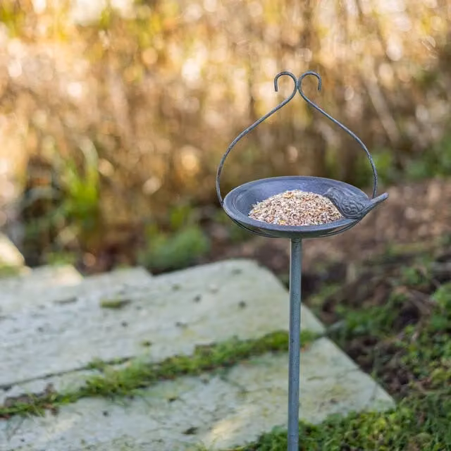 Peckish Secret Garden Metal Feeding Dish - Grey