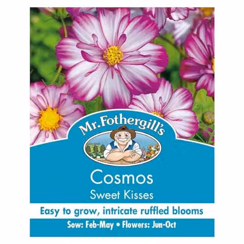 Mr Fothergill's Cosmos Sweet Kisses Pink and White Flower Seeds – 1