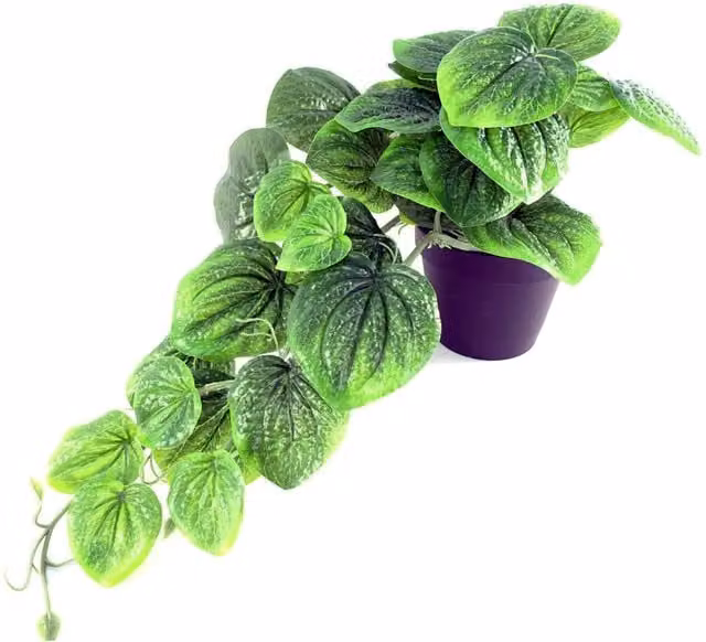 Leaf Design UK Realistic Artificial Green Potted Pothos Plant with Black Pot