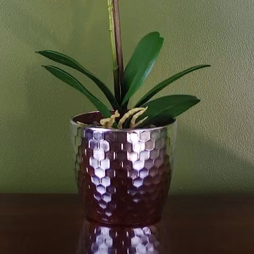 Leaf Phalaenopsis Orchid Artificial Plant in Pink and Silver, Height: 50 cm – 2