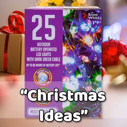 VFM e-Store Multicolour Christmas String Lights with 25 Bulbs – 6