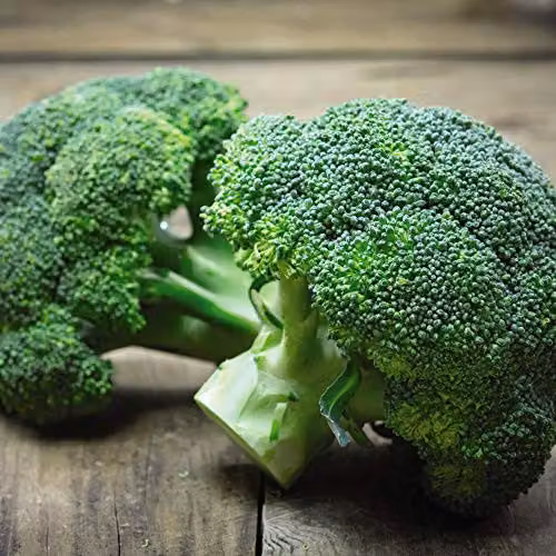 Thompson and Morgan Organic Green Sprouting Calabrese Broccoli Seeds, 150 Seeds