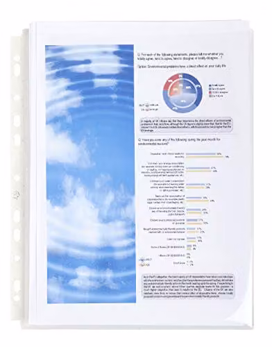 Exacompta 10 Pack of A4 Transparent Expanding Punched Pockets with 25 mm Gusset and Flap, 200 Micron Polypropylene