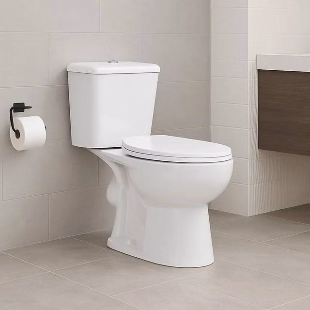 PAWNORA Rimless Close Coupled Ceramic Floor Standing Toilet in White, W/D/H: 37.0 x 72.5 x 77.5 cm