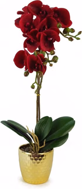 Artificial Real Touch Orchid in Decorative Pot, Red and Gold, Height: 50 cm