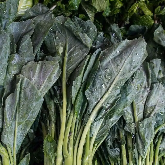 Marshalls Chinese Broccoli Kailaan Vegetable Seeds, 220 Seeds