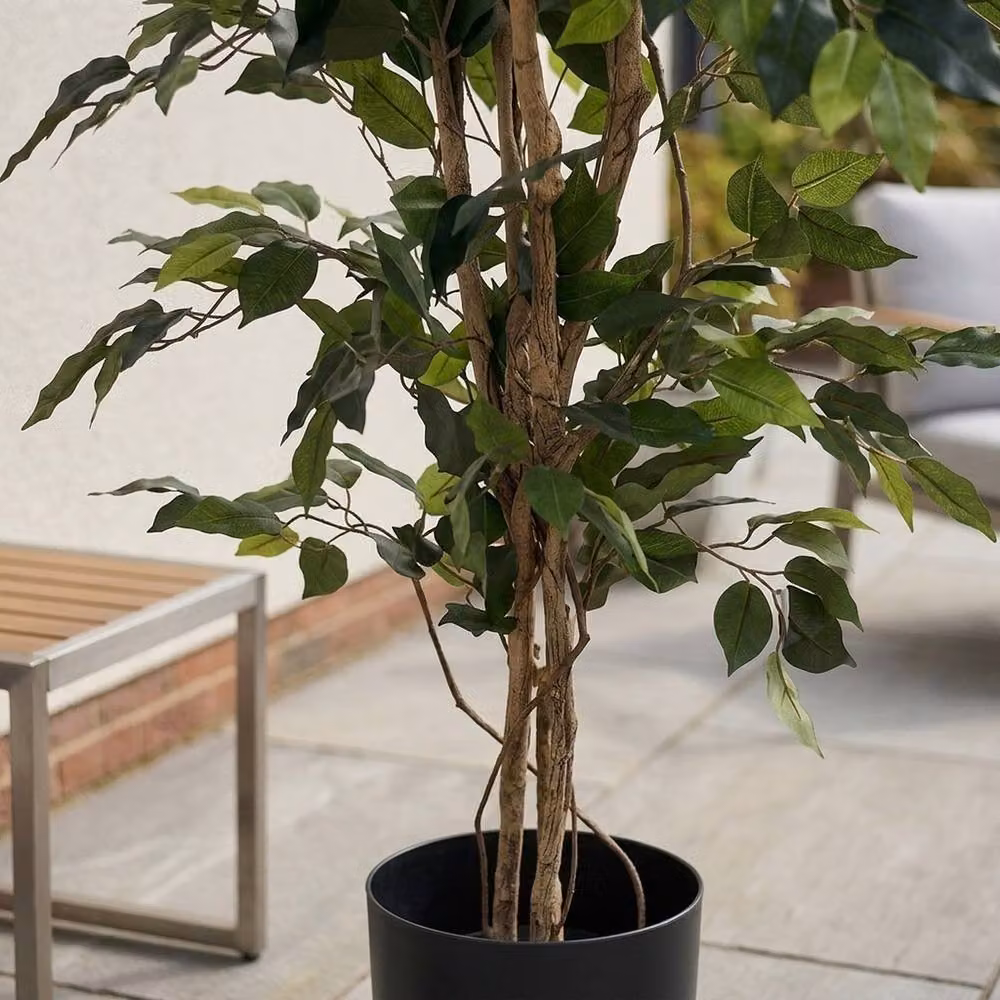 Garden Greatness Lifelike Green Ficus Potted Tree – 2