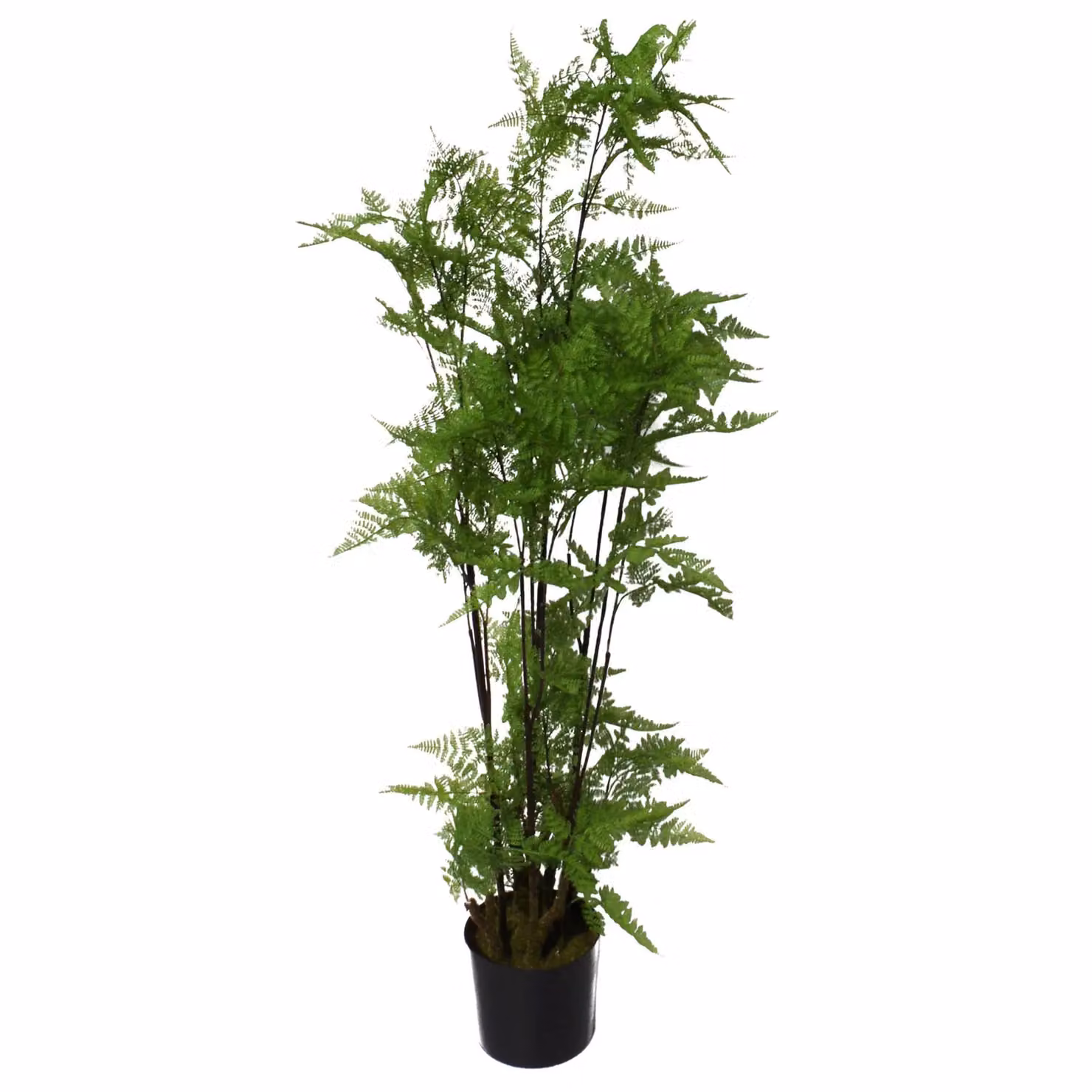 Botanik Premium Artificial Fern Grass Foliage Plant in Green, Height: 150 cm – 2