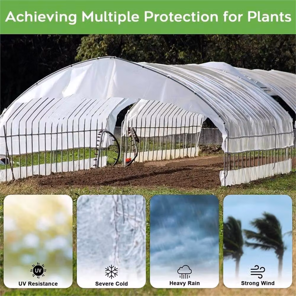 SPETLEK Heavy Duty Clear Polythene Sheeting, Transparent Plastic, 2 x 10 m, 1.25 kg – 3