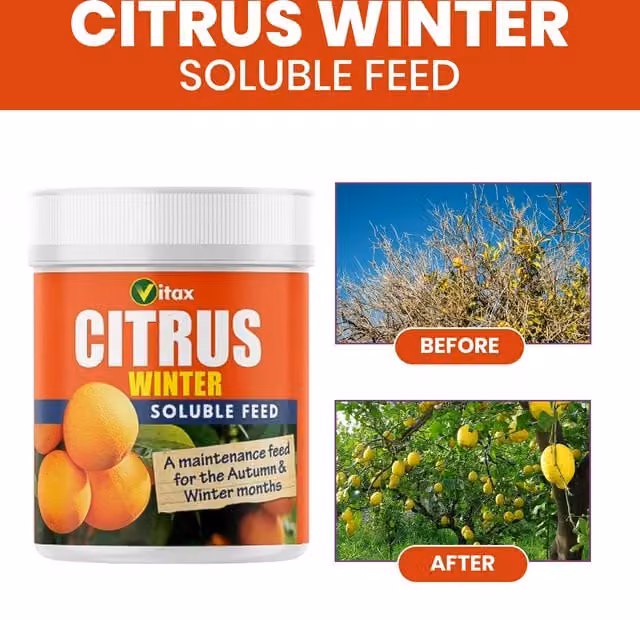 Vitax Citrus Feed Winter Plant Tonic for Indoor Plants